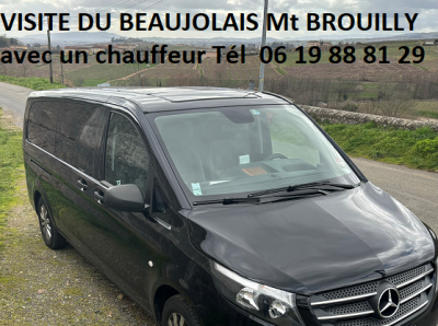 Visiite et degustation au mont brouilly avec un chauffeur prive au depart de lyon 1