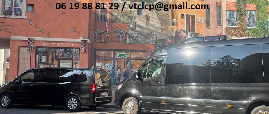 Lyon City Tour en van ou minibus avec chauffeur