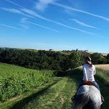 Vtc lyon partenaire de transport pour une visite a cheval domaine chamberon a ampuis