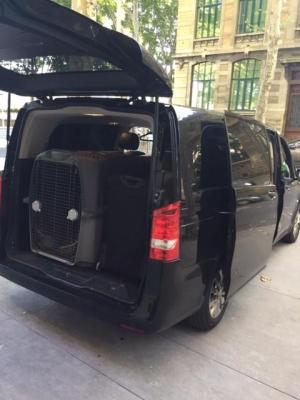 Vtc lyon transport de caisse pour chien