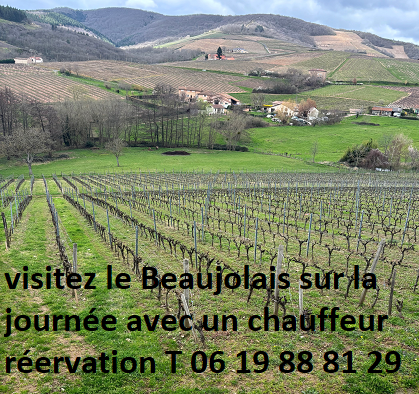 Wine tour dans le beaujolais en van avec chauffeur prive et visite du mont brouilly sur la journee